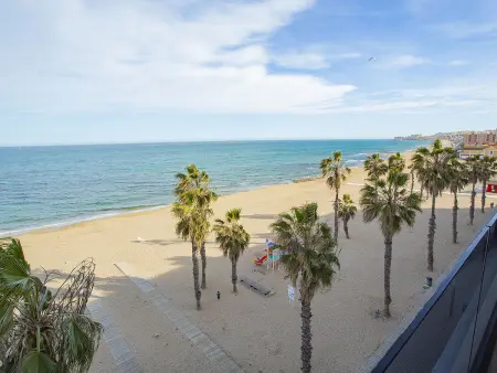Appartement neuf 72 m² face mer - La Mata : photo 20