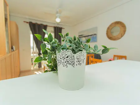 Appartement 51 m² vue lac, 80 m plage - Torrevieja : photo 6