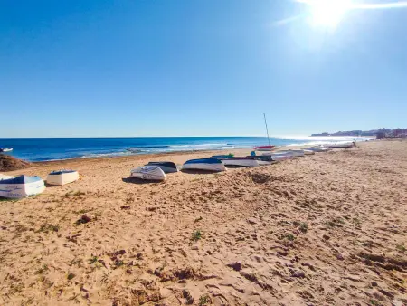 Sol y Mar La Mata : 39 m² climatisé à 160 m de la plage : photo 29