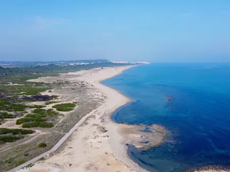 Sol y Mar La Mata : 39 m² climatisé à 160 m de la plage : photo 30