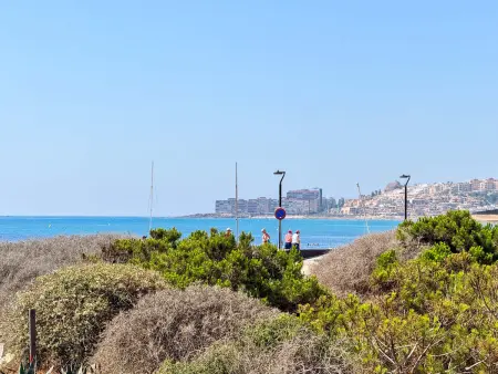 Sol y Mar La Mata : 39 m² climatisé à 160 m de la plage : photo 31