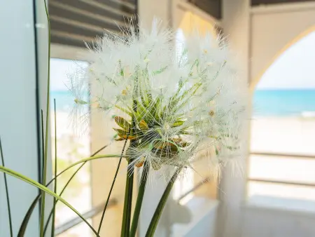 Appartement vue mer première ligne, La Mata : photo 3