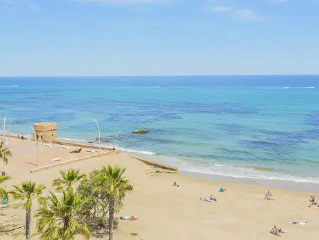 Appartement neuf 80 m² vue mer - La Mata, 4 pers. : photo 13