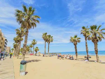 Appartement neuf 80 m² vue mer - La Mata, 4 pers. : photo 36