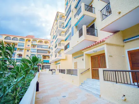 Appartement 52m² La Mata, climatisation, piscine : photo 18