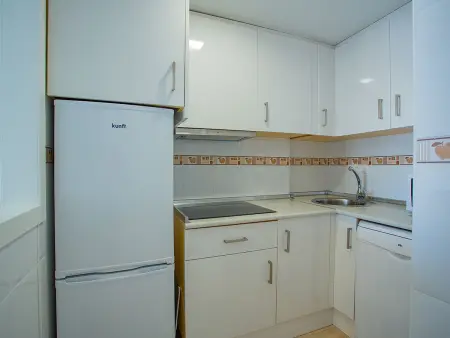 Penthouse 60 m² terrasse et solarium à Torrevieja : photo 4