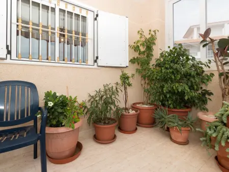 Appartement 2 ch vue mer à La Mata - 4 pers. : photo 3
