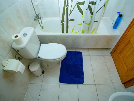 Studio 34 m² avec piscine à La Mata, 100 m plage : photo 7