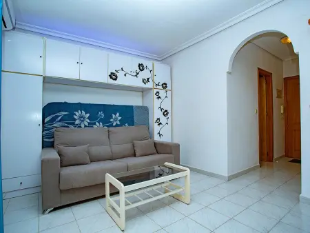 Studio 34 m² avec piscine à La Mata, 100 m plage : photo 15