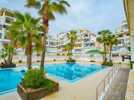Studio 34 m² avec piscine à La Mata, 100 m plage : photo 29