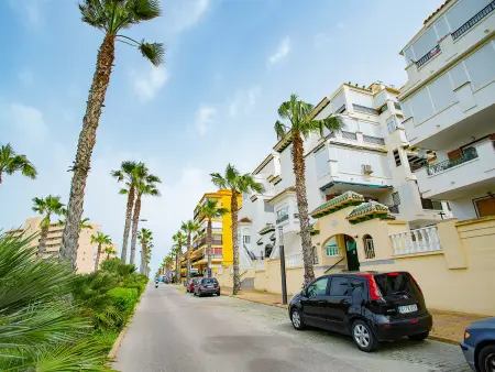 Studio 34 m² avec piscine à La Mata, 100 m plage : photo 35