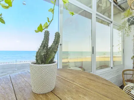Appartement vue plage La Mata - 4 pers., terrasse couverte : photo 32