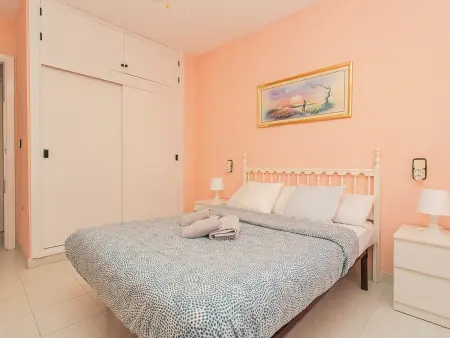 Appartement 2 chambres à La Mata, 80 m de plage : photo 22