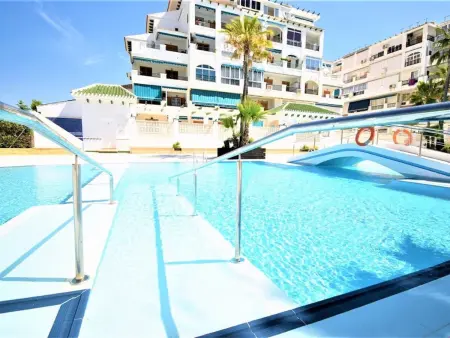 Appartement 1 chambre avec piscine à Torrevieja : photo 3