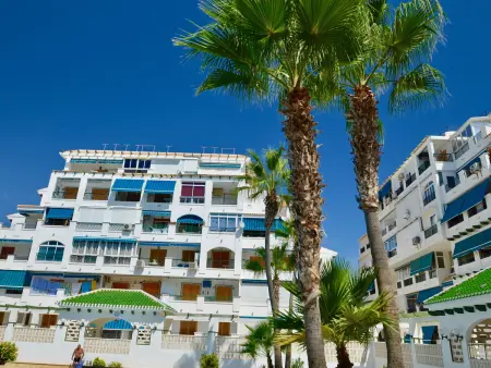 Appartement 1 chambre avec piscine à Torrevieja : photo 23