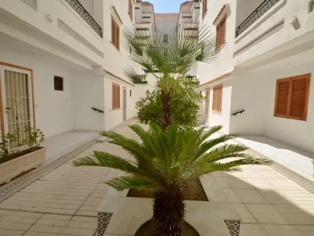 Appartement 1 chambre avec piscine à Torrevieja : photo 26