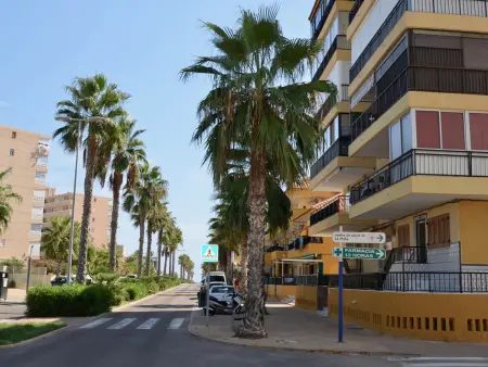 Appartement 1 chambre avec piscine à Torrevieja : photo 32