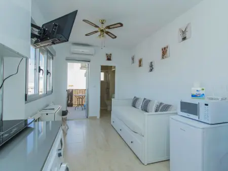 Studio rénové vue ville à Torrevieja : photo 11