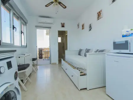 Studio rénové vue ville à Torrevieja : photo 12