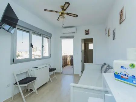 Studio rénové vue ville à Torrevieja : photo 15