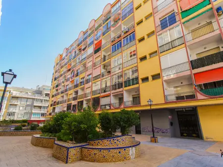 Studio rénové vue ville à Torrevieja : photo 33