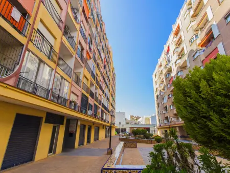 Studio rénové vue ville à Torrevieja : photo 34