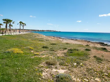Maison 2 chambres La Zenia, 100 m commerces : photo 34