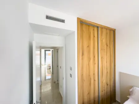 Appartement 50m² climatisé, terrasse 67m² - Pilar de la Horadada : photo 27
