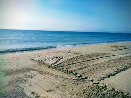 Appartement 65 m² moderne, terrasse 50 m² - Cabo Roig : photo 2