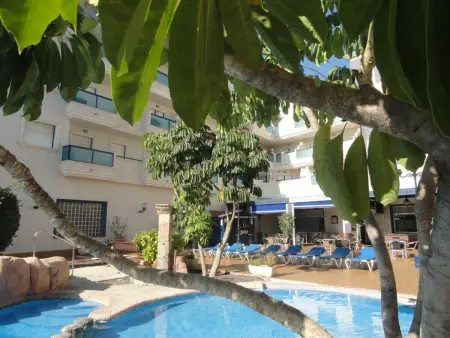 Appartement 65 m² moderne, terrasse 50 m² - Cabo Roig : photo 32