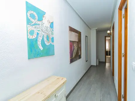 Appartement 63 m² La Mata, terrasse 12 m², plage à 50 m : photo 6