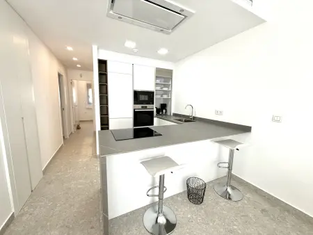 Appartement moderne 2 ch avec solarium privé à Rojales : photo 9
