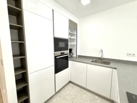 Appartement moderne 2 ch avec solarium privé à Rojales : photo 10