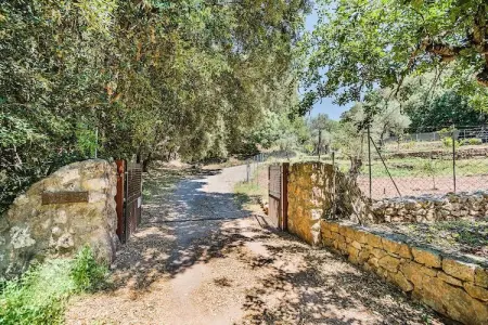 Villa Picassa à Pollença : piscine et jardin privés : photo 14