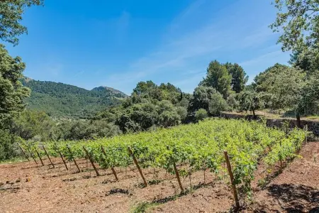 Villa Picassa à Pollença : piscine et jardin privés : photo 27