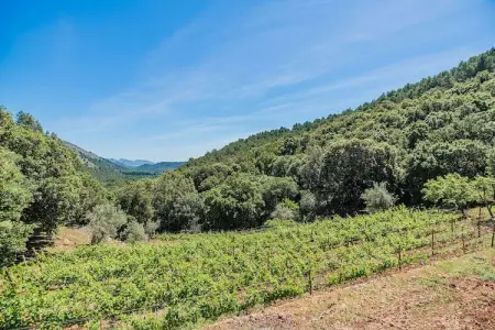 Villa Picassa à Pollença : piscine et jardin privés : photo 28