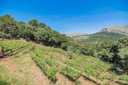 Villa Picassa à Pollença : piscine et jardin privés : photo 29
