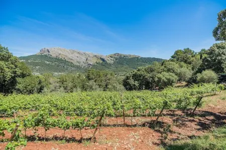 Villa Picassa à Pollença : piscine et jardin privés : photo 30