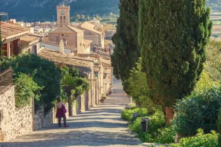Maison Malagarba : piscine et plain-pied à Pollença : photo 32