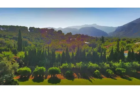 Can Llop, villa 8 pers. vue Tramuntana à Pollença : photo 25