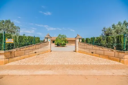 Villa moderne 6 pers. avec piscine privée à Sa Pobla : photo 17