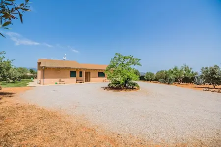 Villa moderne 6 pers. avec piscine privée à Sa Pobla : photo 30