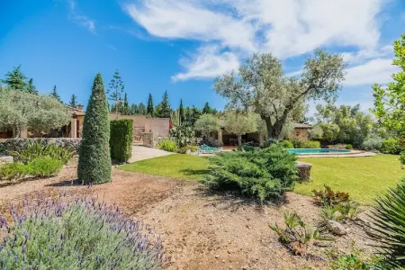 Maison en pierre avec piscine privée à Pollença : photo 27