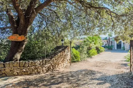 Villa CAL REI avec piscine privée à Pollensa : photo 7