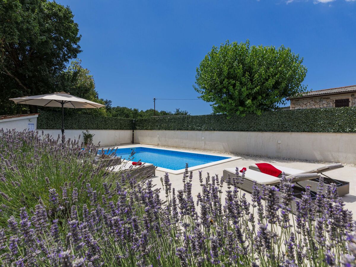 Maison Trošti : piscine privée et jardin à Barban - Photo 8