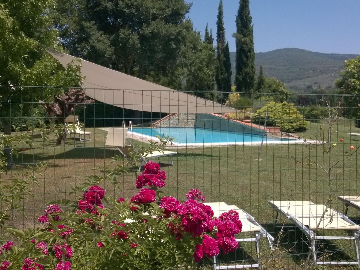 Appartement 6 pers. avec piscine à Cortona - Photo 17