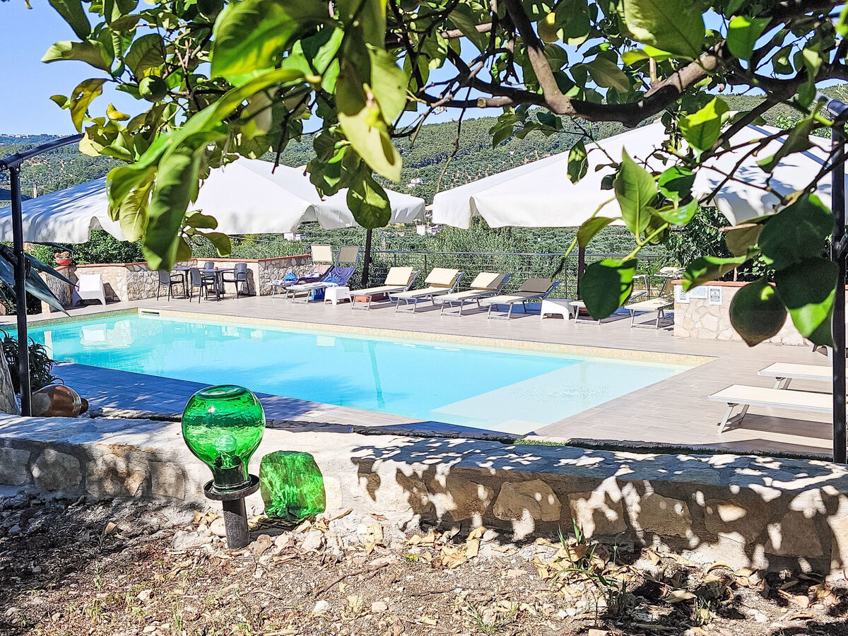 Appartement 2 pièces Peschici, balcon 32 m² et piscine - Photo 1