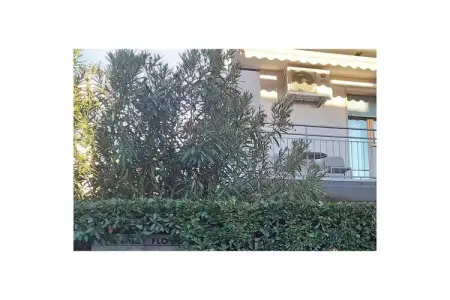 Maison 1 chambre avec balcon à Lazise : photo 2