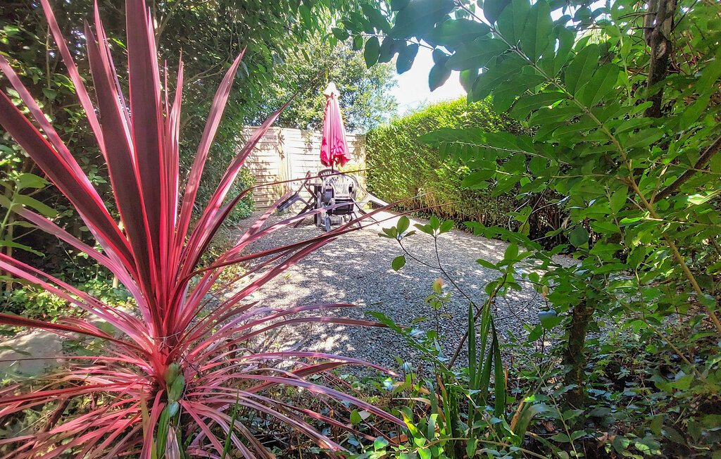 Maison 4 personnes à Hénanbihen, 15 km des plages - Photo 7