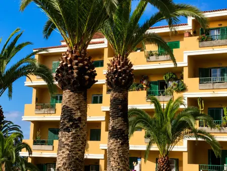 Appartement 65 m² vue piscine à Santa Úrsula : photo 28